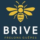 Brive Frelons Guêpes
